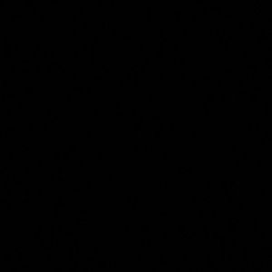 Meet your Posher, Ariel